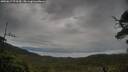 ./images/calvert/fitz-hugh-hecate/20250617/fitz-hugh-hecate20250617_074509M.jpg