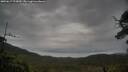./images/calvert/fitz-hugh-hecate/20250617/fitz-hugh-hecate20250617_075010M.jpg