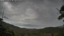 ./images/calvert/fitz-hugh-hecate/20250617/fitz-hugh-hecate20250617_075507M.jpg