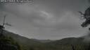 ./images/calvert/fitz-hugh-hecate/20250617/fitz-hugh-hecate20250617_080010M.jpg
