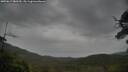 ./images/calvert/fitz-hugh-hecate/20250617/fitz-hugh-hecate20250617_080509M.jpg