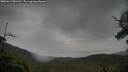 ./images/calvert/fitz-hugh-hecate/20250617/fitz-hugh-hecate20250617_081510M.jpg