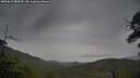 ./images/calvert/fitz-hugh-hecate/20250617/fitz-hugh-hecate20250617_083510M.jpg