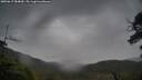 ./images/calvert/fitz-hugh-hecate/20250617/fitz-hugh-hecate20250617_084009M.jpg