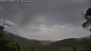 ./images/calvert/fitz-hugh-hecate/20250617/fitz-hugh-hecate20250617_084510M.jpg