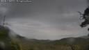 ./images/calvert/fitz-hugh-hecate/20250617/fitz-hugh-hecate20250617_085510M.jpg