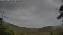 ./images/calvert/fitz-hugh-hecate/20250617/fitz-hugh-hecate20250617_090012M.jpg