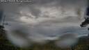 ./images/calvert/fitz-hugh-hecate/20250617/fitz-hugh-hecate20250617_092509M.jpg
