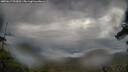 ./images/calvert/fitz-hugh-hecate/20250617/fitz-hugh-hecate20250617_093011M.jpg