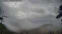 ./images/calvert/fitz-hugh-hecate/20250617/fitz-hugh-hecate20250617_094009M.jpg