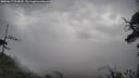 ./images/calvert/fitz-hugh-hecate/20250617/fitz-hugh-hecate20250617_095010M.jpg