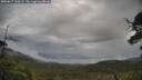 ./images/calvert/fitz-hugh-hecate/20250617/fitz-hugh-hecate20250617_100509M.jpg