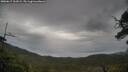 ./images/calvert/fitz-hugh-hecate/20250617/fitz-hugh-hecate20250617_101009M.jpg