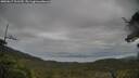 ./images/calvert/fitz-hugh-hecate/20250617/fitz-hugh-hecate20250617_101510M.jpg