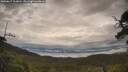 ./images/calvert/fitz-hugh-hecate/20250617/fitz-hugh-hecate20250617_103010M.jpg