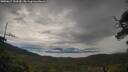 ./images/calvert/fitz-hugh-hecate/20250617/fitz-hugh-hecate20250617_103510M.jpg