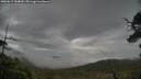 ./images/calvert/fitz-hugh-hecate/20250617/fitz-hugh-hecate20250617_104009M.jpg