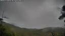 ./images/calvert/fitz-hugh-hecate/20250617/fitz-hugh-hecate20250617_104510M.jpg