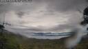 ./images/calvert/fitz-hugh-hecate/20250617/fitz-hugh-hecate20250617_105510M.jpg