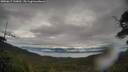 ./images/calvert/fitz-hugh-hecate/20250617/fitz-hugh-hecate20250617_110012M.jpg