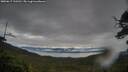 ./images/calvert/fitz-hugh-hecate/20250617/fitz-hugh-hecate20250617_110511M.jpg