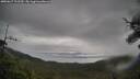 ./images/calvert/fitz-hugh-hecate/20250617/fitz-hugh-hecate20250617_111510M.jpg