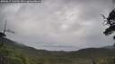 ./images/calvert/fitz-hugh-hecate/20250617/fitz-hugh-hecate20250617_112510M.jpg