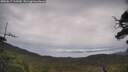 ./images/calvert/fitz-hugh-hecate/20250617/fitz-hugh-hecate20250617_113510M.jpg