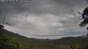 ./images/calvert/fitz-hugh-hecate/20250617/fitz-hugh-hecate20250617_115508M.jpg