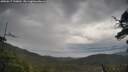 ./images/calvert/fitz-hugh-hecate/20250617/fitz-hugh-hecate20250617_120011M.jpg