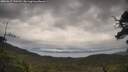 ./images/calvert/fitz-hugh-hecate/20250617/fitz-hugh-hecate20250617_120510M.jpg