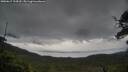 ./images/calvert/fitz-hugh-hecate/20250617/fitz-hugh-hecate20250617_124510M.jpg