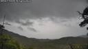 ./images/calvert/fitz-hugh-hecate/20250617/fitz-hugh-hecate20250617_131509M.jpg