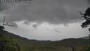 ./images/calvert/fitz-hugh-hecate/20250617/fitz-hugh-hecate20250617_132009M.jpg