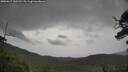 ./images/calvert/fitz-hugh-hecate/20250617/fitz-hugh-hecate20250617_132510M.jpg