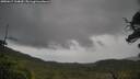 ./images/calvert/fitz-hugh-hecate/20250617/fitz-hugh-hecate20250617_134009M.jpg