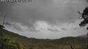 ./images/calvert/fitz-hugh-hecate/20250617/fitz-hugh-hecate20250617_134509M.jpg