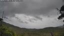 ./images/calvert/fitz-hugh-hecate/20250617/fitz-hugh-hecate20250617_135009M.jpg