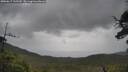 ./images/calvert/fitz-hugh-hecate/20250617/fitz-hugh-hecate20250617_135509M.jpg
