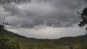 ./images/calvert/fitz-hugh-hecate/20250617/fitz-hugh-hecate20250617_142510M.jpg