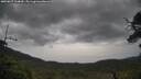 ./images/calvert/fitz-hugh-hecate/20250617/fitz-hugh-hecate20250617_144010M.jpg