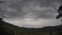 ./images/calvert/fitz-hugh-hecate/20250617/fitz-hugh-hecate20250617_144510M.jpg