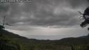 ./images/calvert/fitz-hugh-hecate/20250617/fitz-hugh-hecate20250617_145010M.jpg