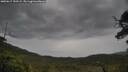 ./images/calvert/fitz-hugh-hecate/20250617/fitz-hugh-hecate20250617_150509M.jpg