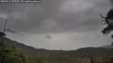 ./images/calvert/fitz-hugh-hecate/20250617/fitz-hugh-hecate20250617_151010M.jpg