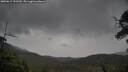 ./images/calvert/fitz-hugh-hecate/20250617/fitz-hugh-hecate20250617_151509M.jpg