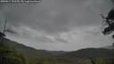 ./images/calvert/fitz-hugh-hecate/20250617/fitz-hugh-hecate20250617_152510M.jpg