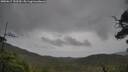 ./images/calvert/fitz-hugh-hecate/20250617/fitz-hugh-hecate20250617_153509M.jpg