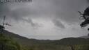 ./images/calvert/fitz-hugh-hecate/20250617/fitz-hugh-hecate20250617_154010M.jpg