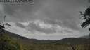 ./images/calvert/fitz-hugh-hecate/20250617/fitz-hugh-hecate20250617_154510M.jpg